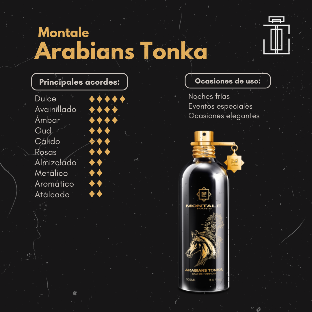 Nox Arabians